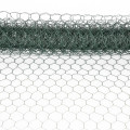 PVC Coated Hexagoal Netting Galvanized Chicken Wire Net